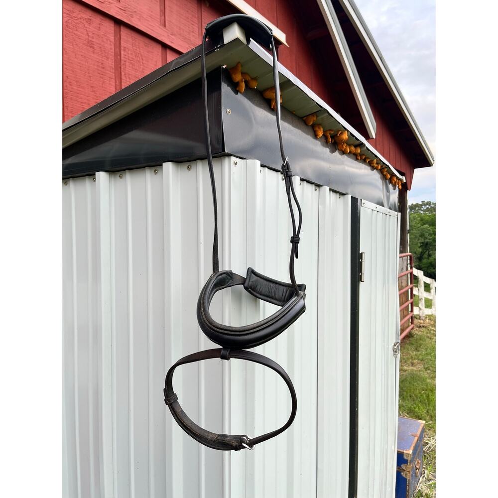 Padded Crown Crank Noseband with Flash Dressage Warmblood